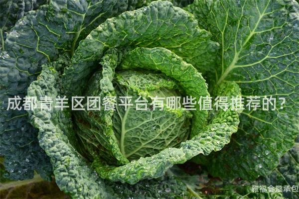 成都青羊區(qū)團(tuán)餐平臺(tái)有哪些值得推薦的？