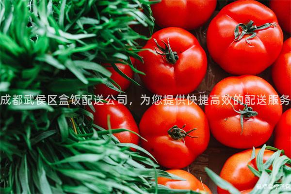 成都武侯區(qū)盒飯配送公司，為您提供快捷高效的配送服務(wù)