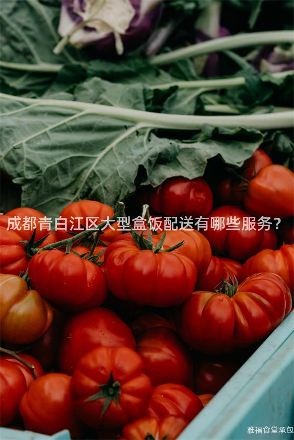 成都青白江區(qū)大型盒飯配送有哪些服務(wù)？