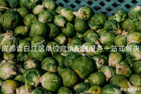 成都青白江區(qū)單位盒飯配送服務一站式解決
