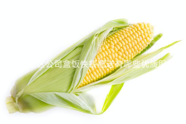 成都錦江區(qū)公司盒飯快餐配送有哪些優(yōu)質(zhì)服務(wù)？