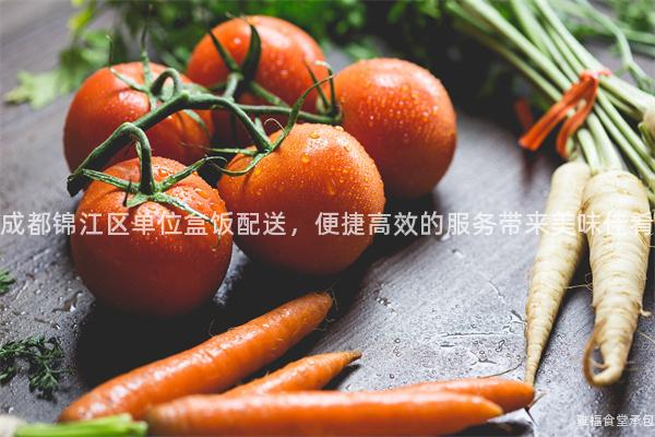 成都錦江區(qū)單位盒飯配送，便捷高效的服務帶來美味佳肴
