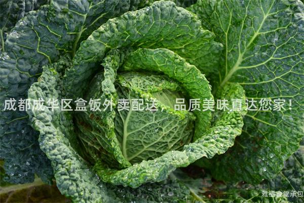 成都成華區(qū)盒飯外賣配送，品質(zhì)美味直達(dá)您家！