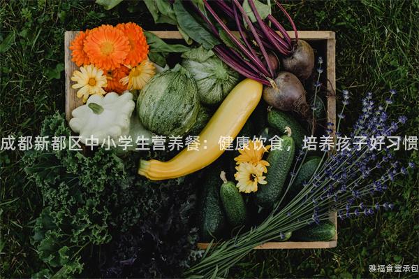 成都新都區(qū)中小學(xué)生營(yíng)養(yǎng)餐：健康飲食，培養(yǎng)孩子好習(xí)慣