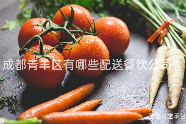 成都青羊區(qū)有哪些配送餐飲公司？