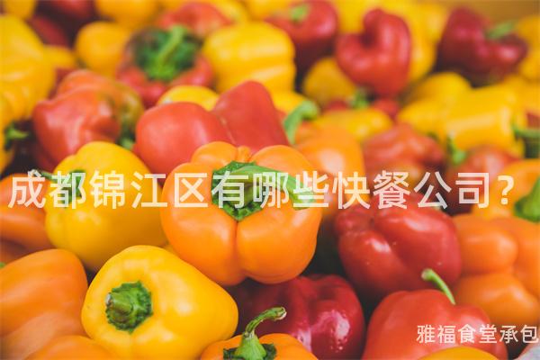 成都錦江區(qū)有哪些快餐公司？