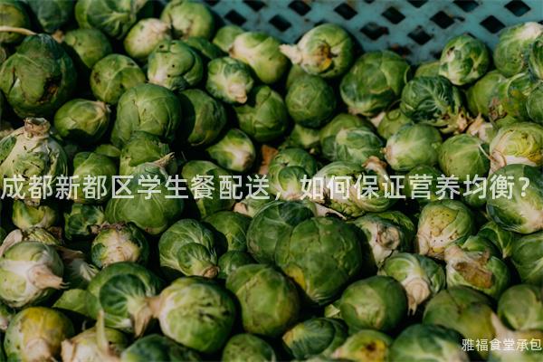 成都新都區(qū)學生餐配送，如何保證營養(yǎng)均衡？