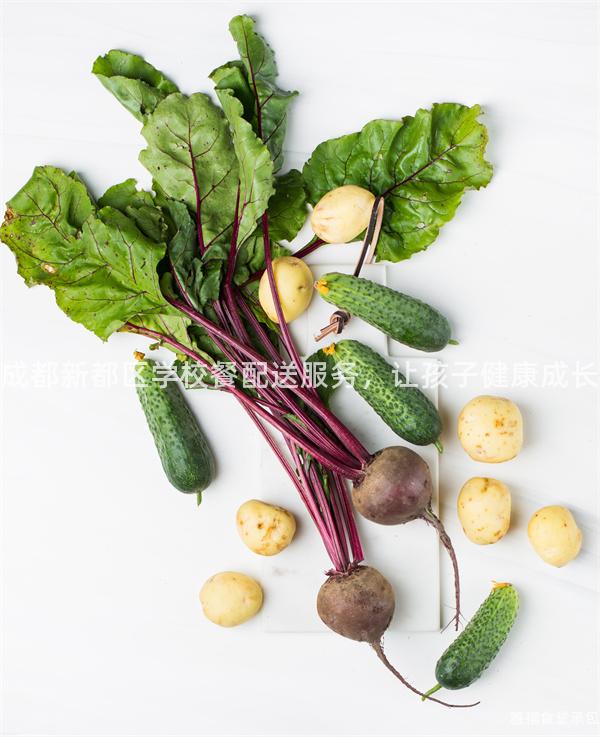 成都新都區(qū)學(xué)校餐配送服務(wù)，讓孩子健康成長(zhǎng)
