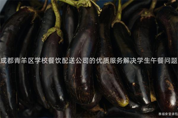 成都青羊區(qū)學校餐飲配送公司的優(yōu)質(zhì)服務解決學生午餐問題