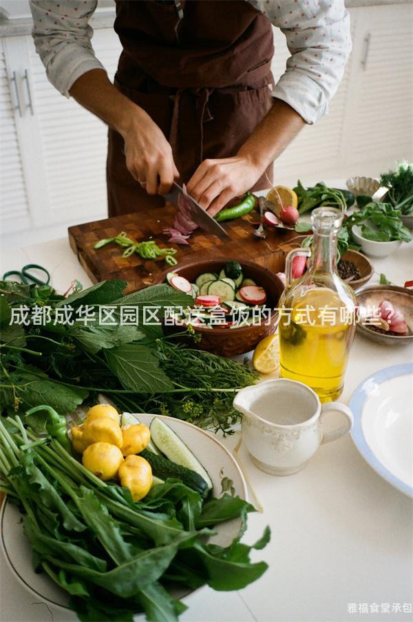 成都成華區(qū)園區(qū)配送盒飯的方式有哪些？