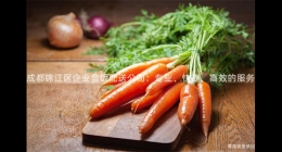 成都錦江區(qū)企業(yè)盒飯配送公司：專業(yè)、快捷、高效的服務