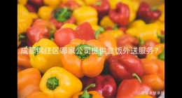 成都錦江區(qū)哪家公司提供盒飯外送服務？