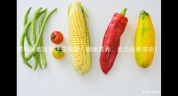 成都新都區(qū)高三營(yíng)養(yǎng)餐：健康營(yíng)養(yǎng)，助力高考成功！