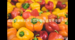 成都龍泉驛區(qū)學(xué)生營(yíng)養(yǎng)餐配送服務(wù)全面升級(jí)