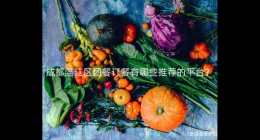 成都溫江區(qū)團餐訂餐有哪些推薦的平臺？