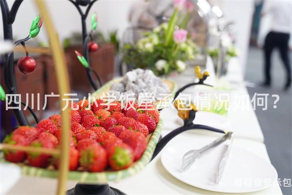 四川廣元小學飯?zhí)贸邪闆r如何？