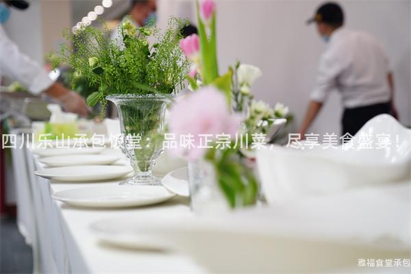 四川樂山承包飯?zhí)茫浩肺墩诖ú?，盡享美食盛宴！