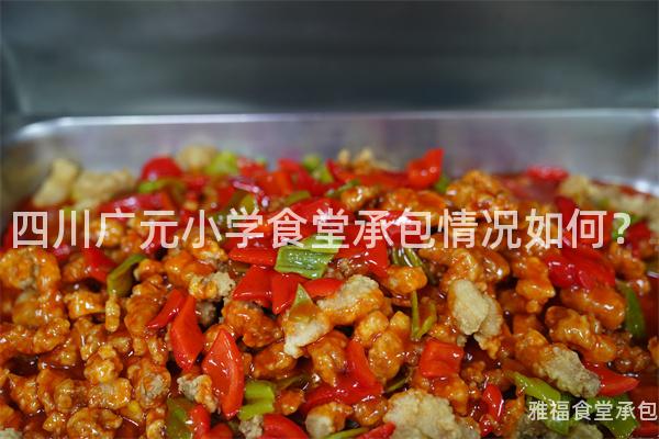 四川廣元小學食堂承包情況如何？