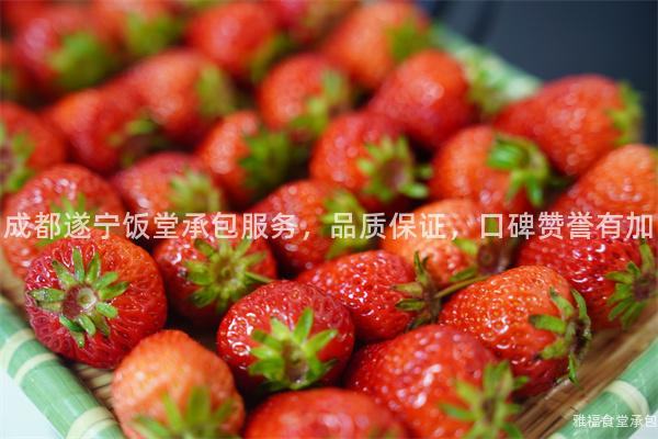 成都遂寧飯?zhí)贸邪?wù)，品質(zhì)保證，口碑贊譽(yù)有加